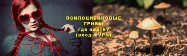 стаф Баксан