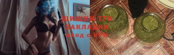 стаф Балахна
