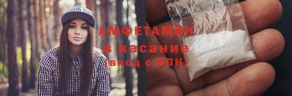стаф Балахна