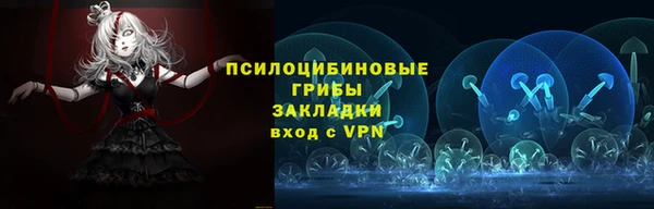стаф Баксан