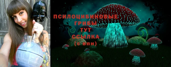стаф Балахна