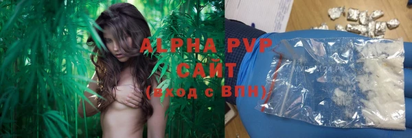 стаф Балахна