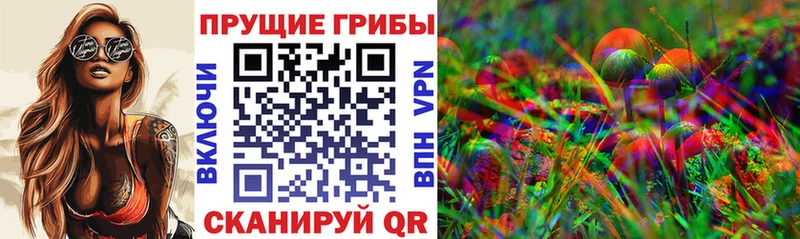 где найти наркотики даркнет какой сайт Псилоцибиновые грибы Cubensis Рязань
